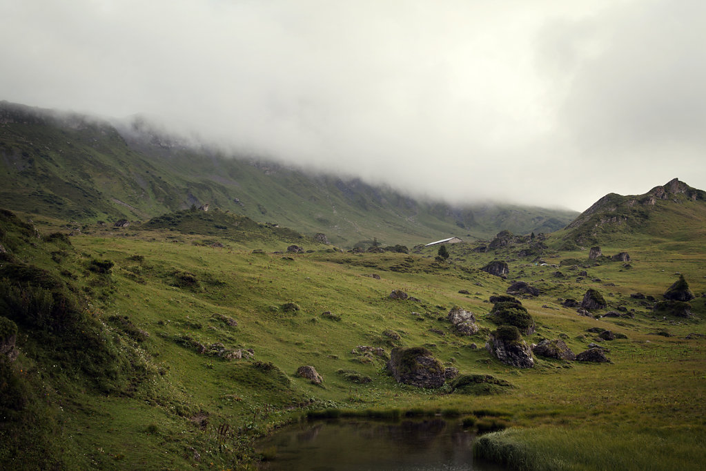 Les Alpes et la brume