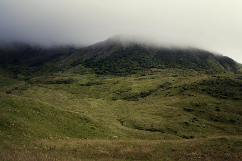 Les Alpes et la brume