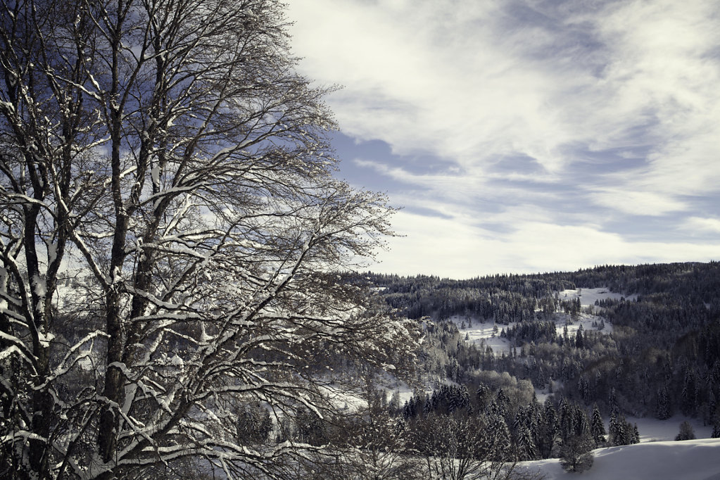 L'hiver