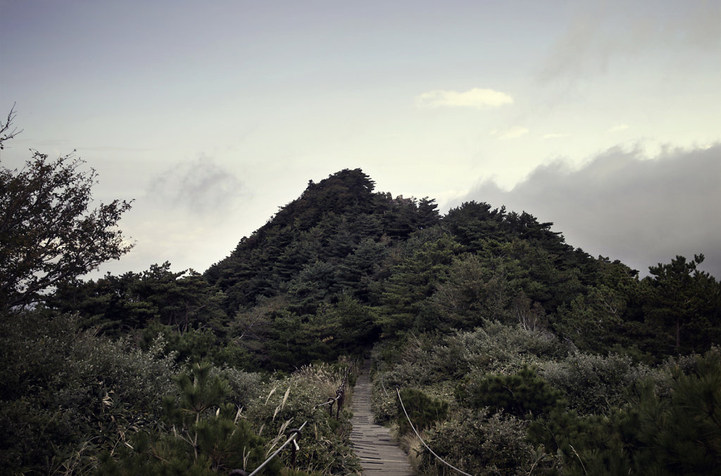 Paysage du Halasan
