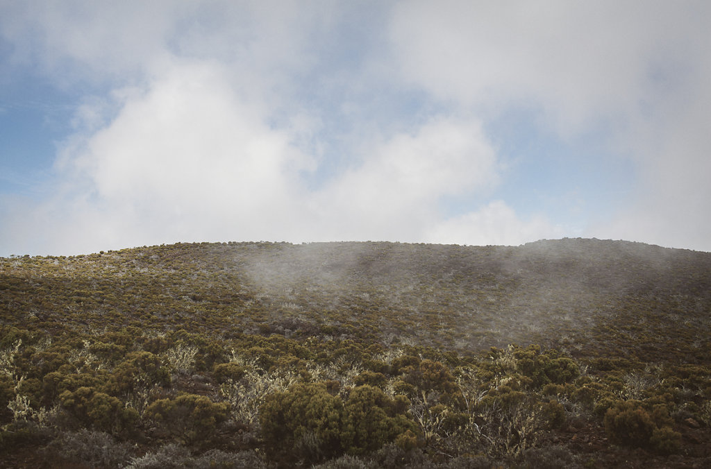 Paysage de la Réunion