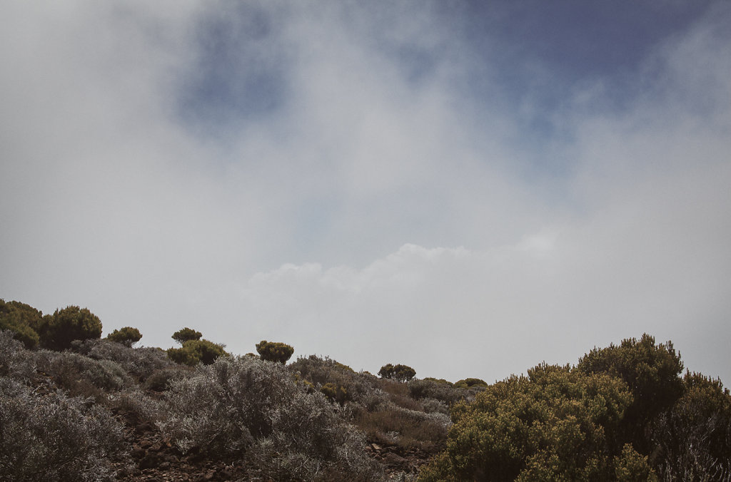 Paysage de la Réunion