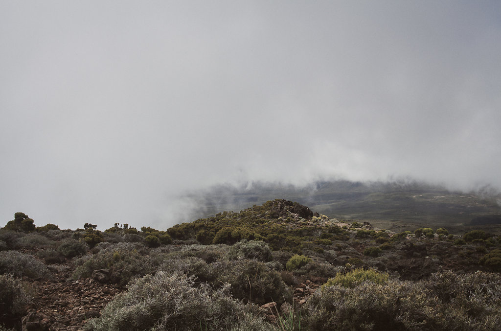 Paysage de la Réunion