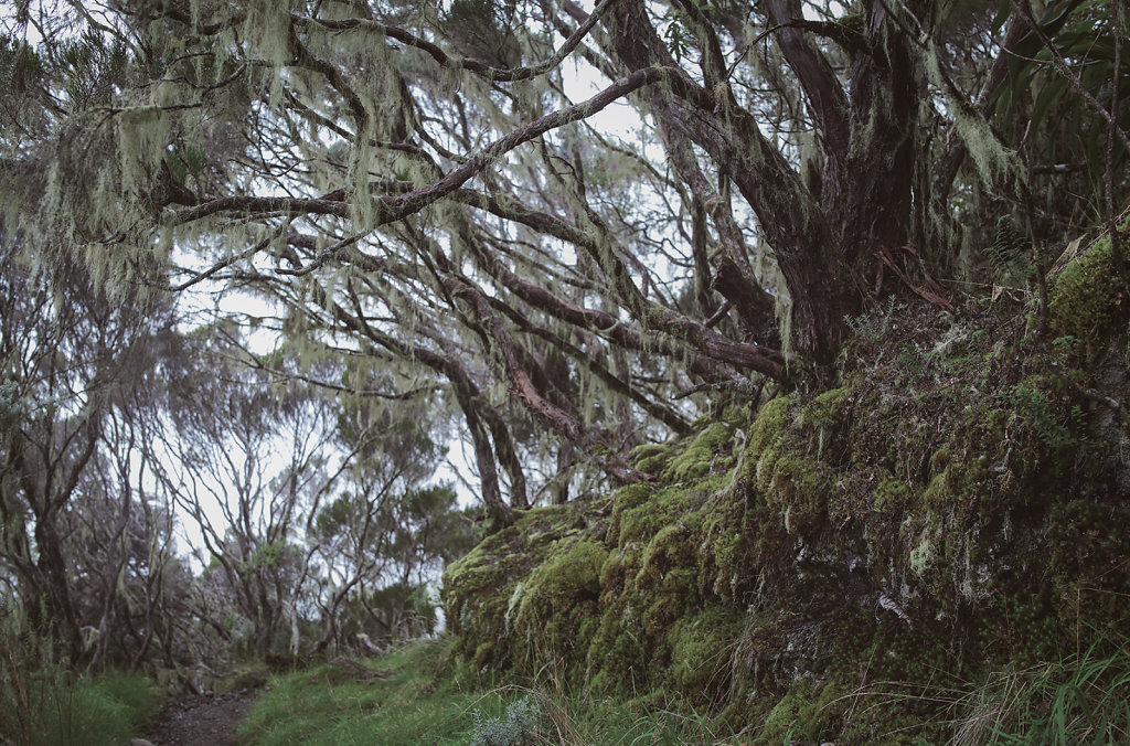 Paysage de la Réunion