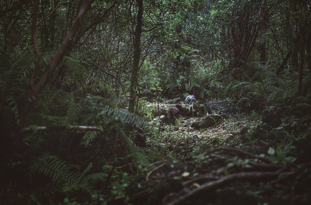 Paysage de la Réunion