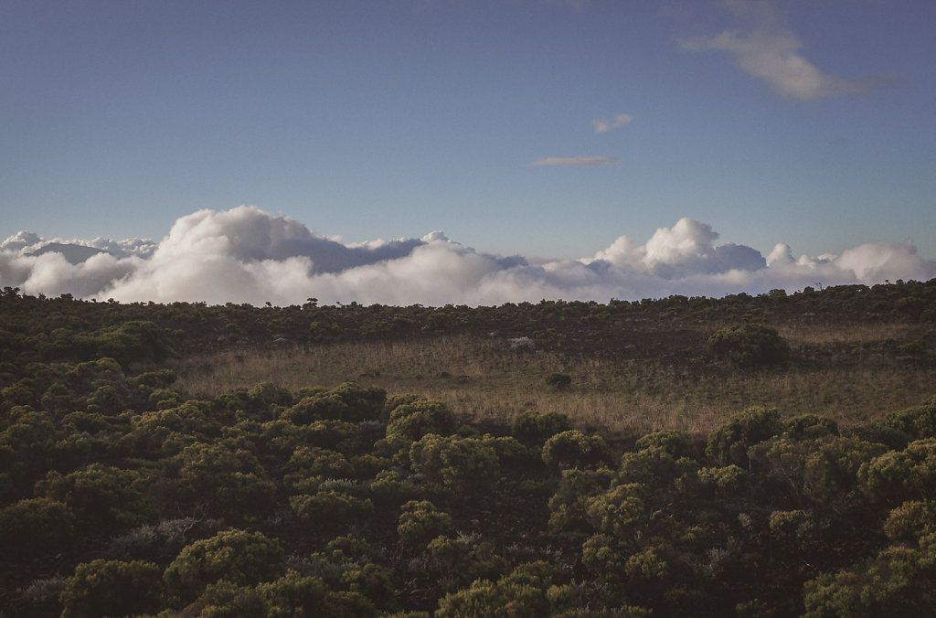 Paysage de la Réunion