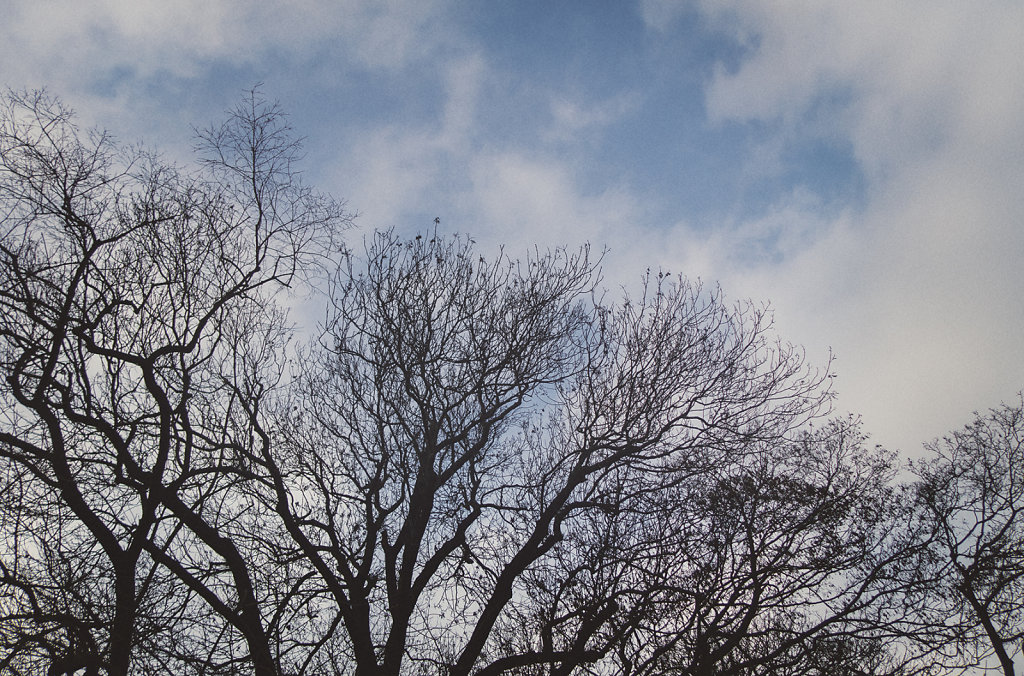 Le ciel du parc des Buttes Chaumont