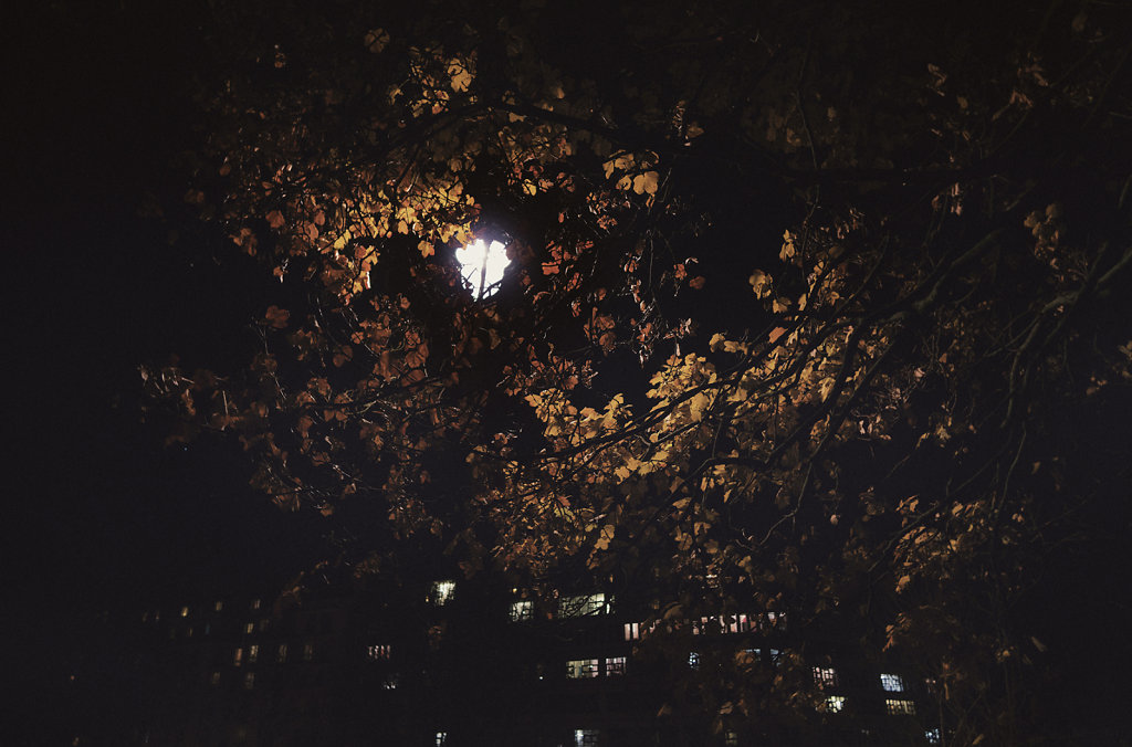 La nuit au parc des Buttes Chaumont